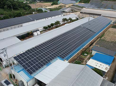 Caja de montaje en techo de hojalata de panel solar de Corea 99.84kw
