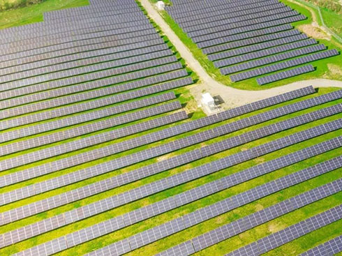 La AIE dice que la demanda solar mundial alcanzará los 190 GW este año

