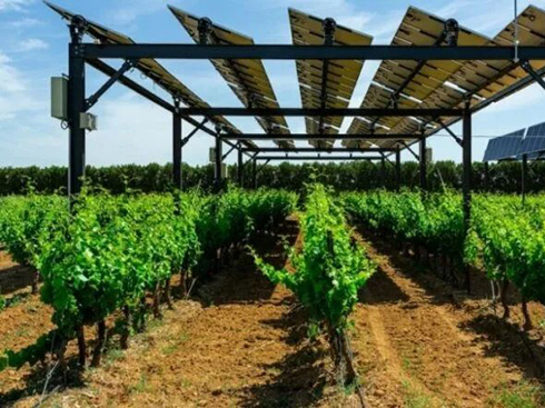 francia define estándares fotovoltaicos agrícolas
