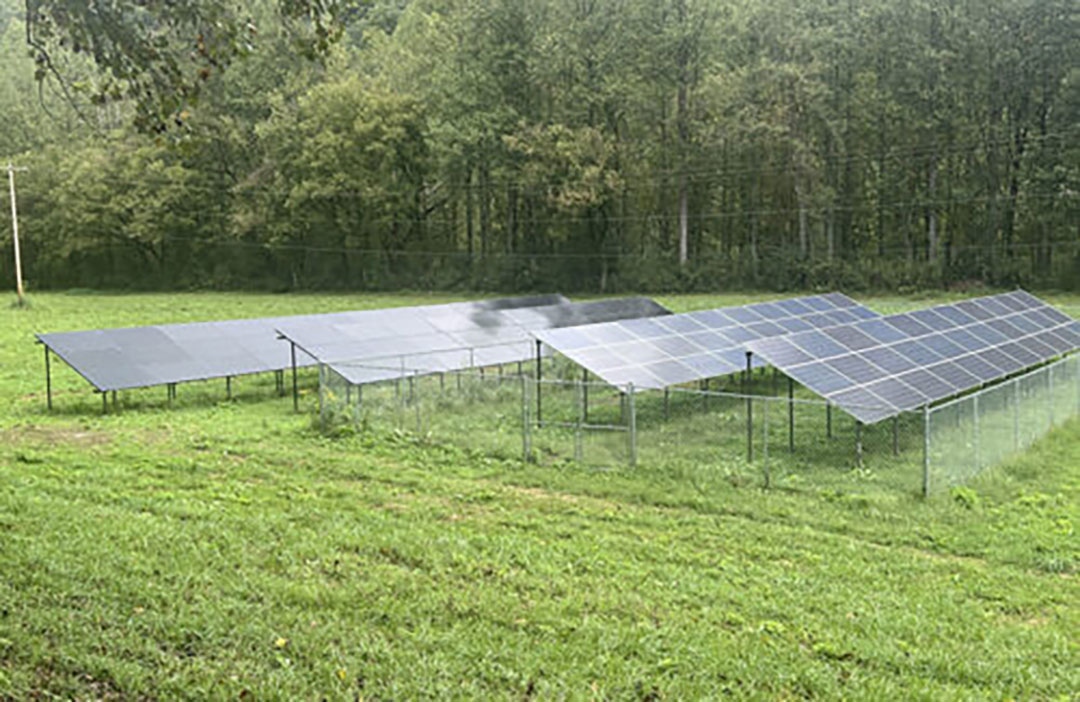 El refugio para mujeres de Kentucky amplía su cartera de productos solares montados en el suelo