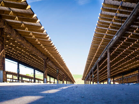 El Parque de Vida Silvestre Belga construye la cochera solar de madera más grande del mundo