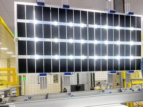 BYD lanza nuevo módulo fotovoltaico agrícola
        