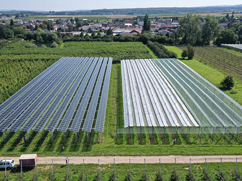 La Asociación Europea de la Industria Fotovoltaica publica nuevas directrices sobre fotovoltaica agrícola